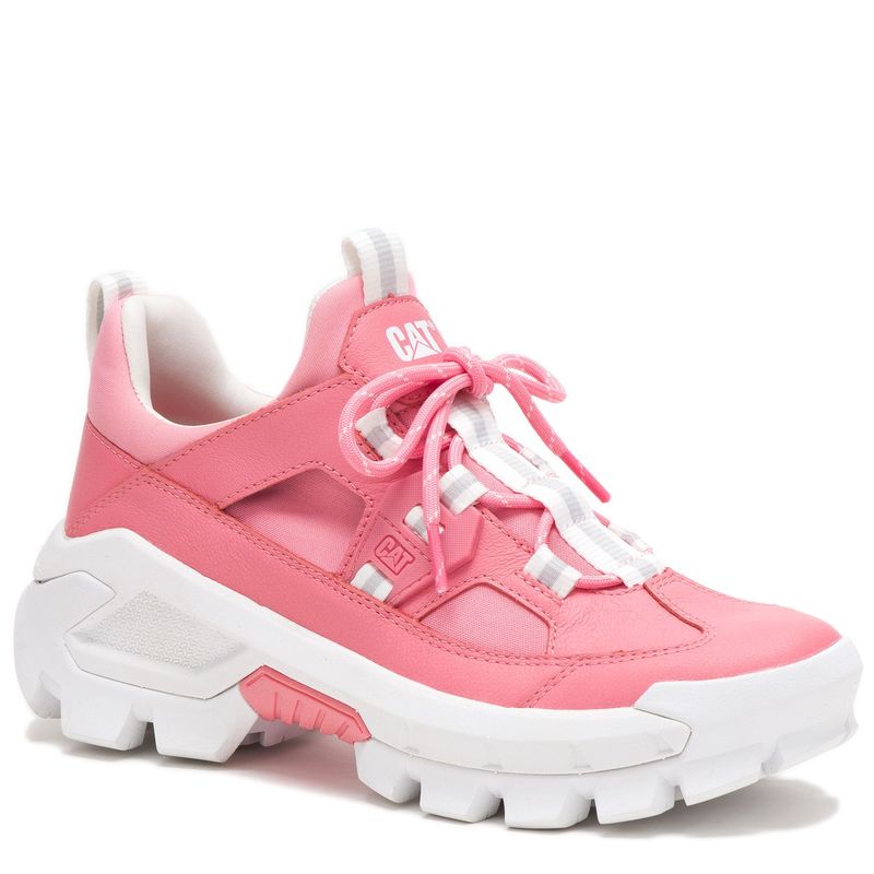 zapatillas cat
