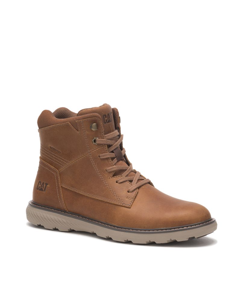 BOTIN-RENOVATE-WP-HOMBRE