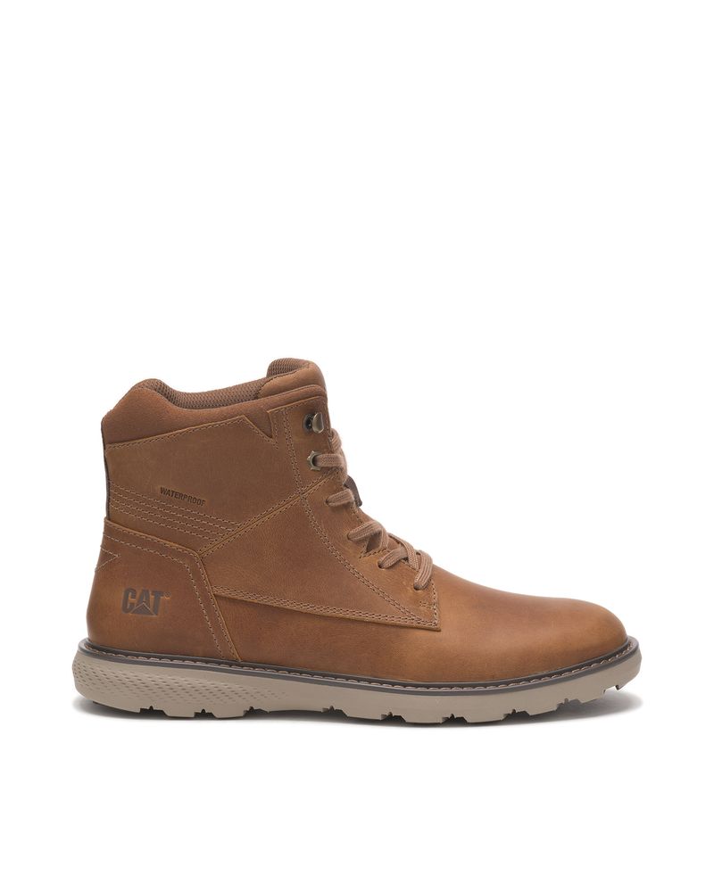 BOTIN-RENOVATE-WP-HOMBRE