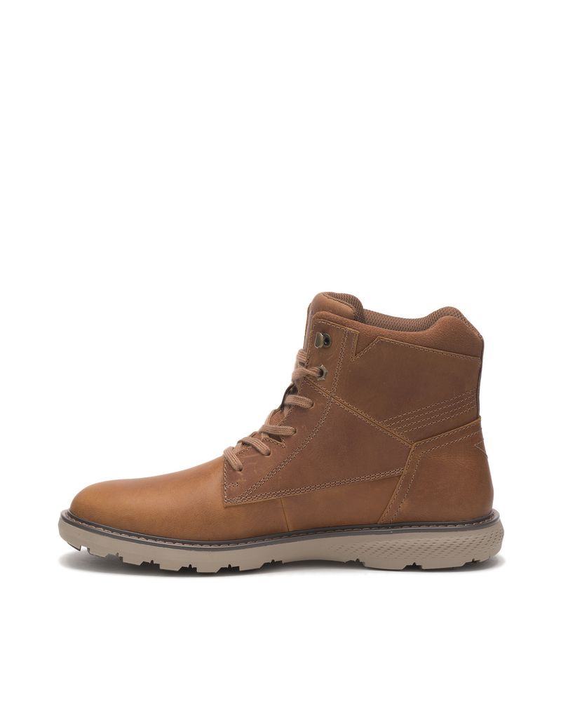BOTIN-RENOVATE-WP-HOMBRE