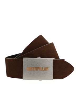 Cinturón Foundation Chevron Cat