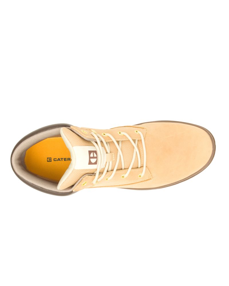 Zapatilla-Cite