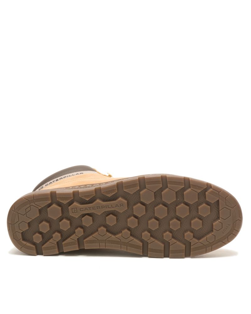 Zapatilla-Cite