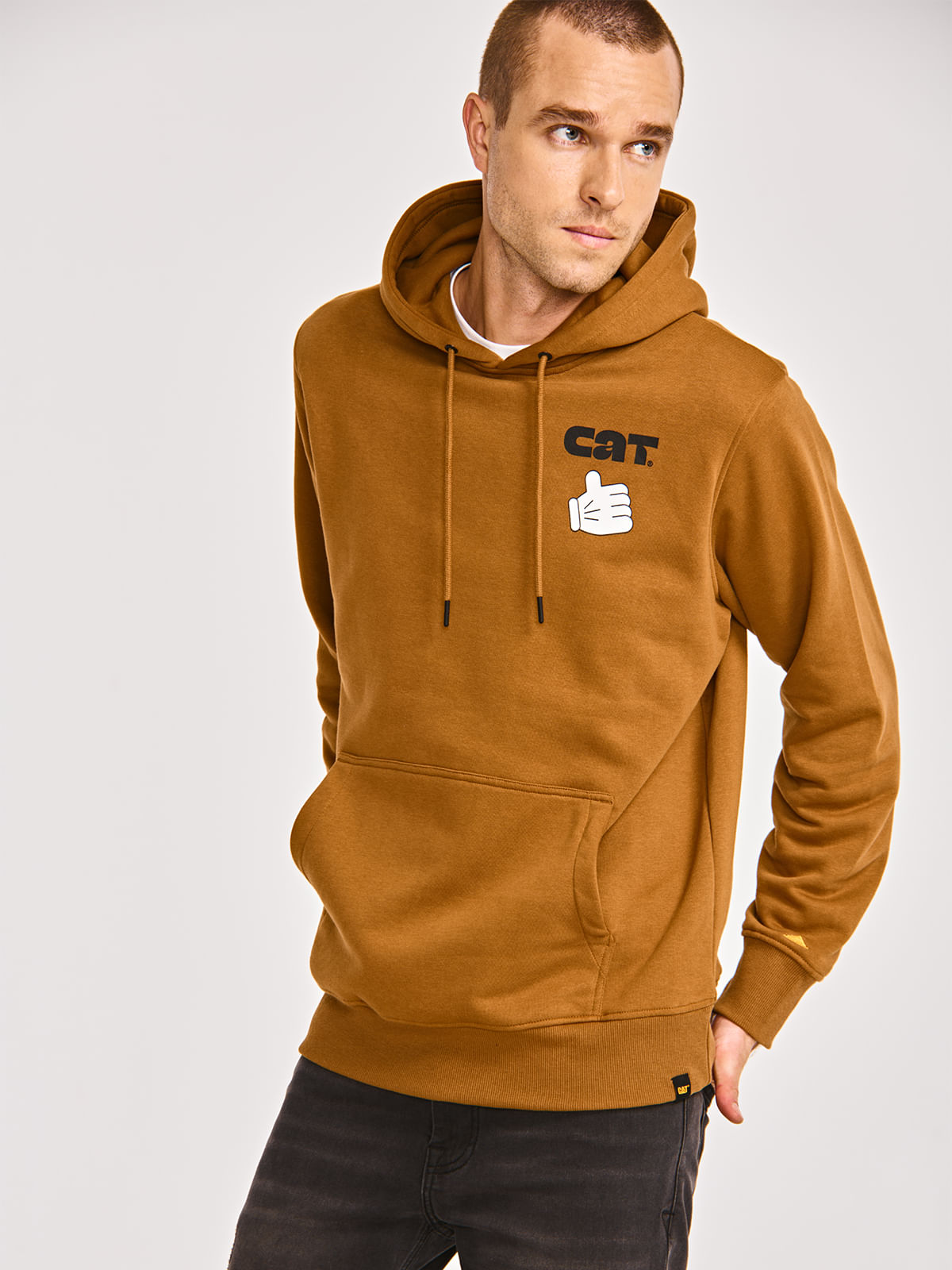 Polerón Casual Hombre GRAPHIC PULLOVER HOODIE Café CAT