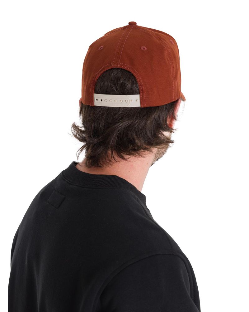 Jockey-Hombre-A-Tractor-CO-5-Panel-Cafe-Cat
