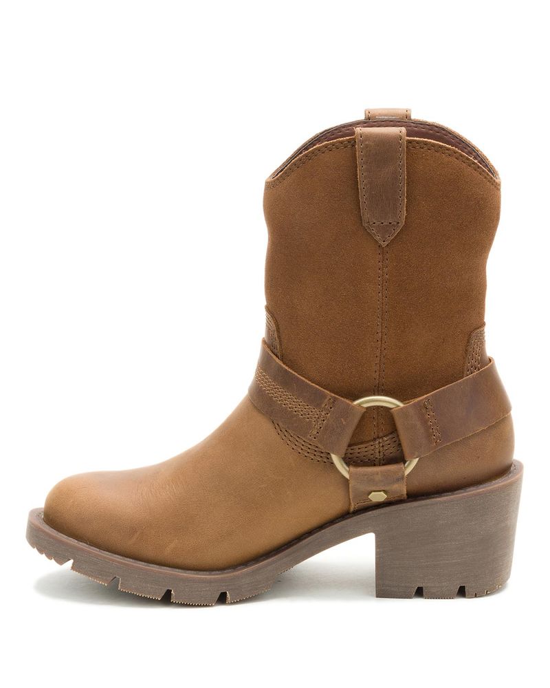Bota-Casual-Cuero-Mujer-Rewrite-Harness-Cafe-Cat