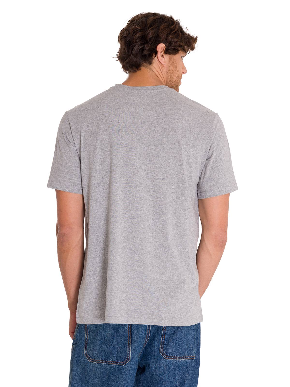Polera Manga Corta Casual Hombre HISTORIC TRADITIONS GRAPHIC TEE Gris Cat