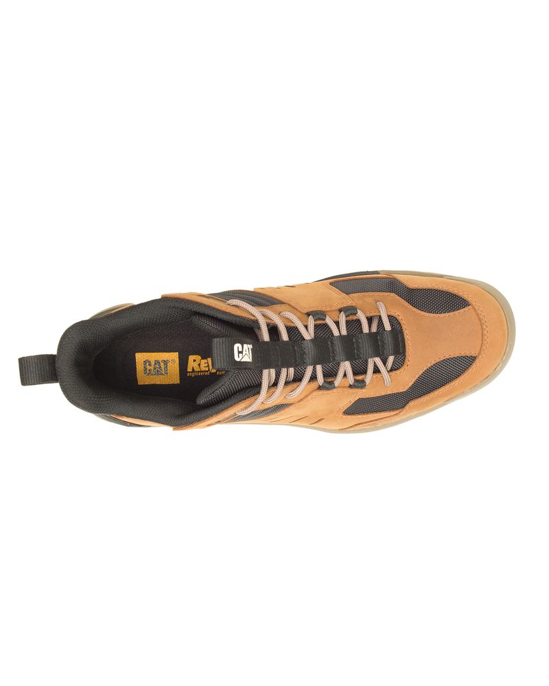 Zapatilla-Hombre-Crail-Sport-Mid-Cat