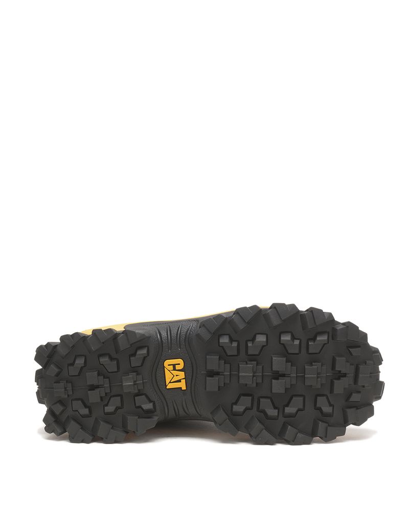 Zapatilla-Intruder-Hombre-Cat