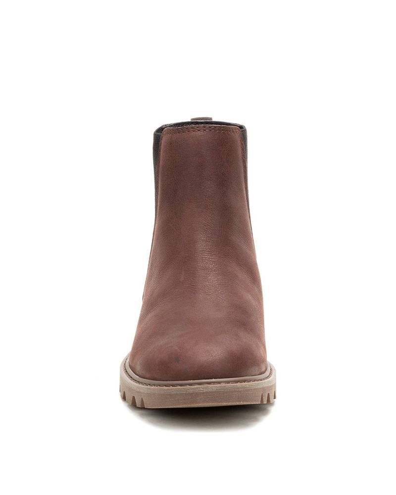 Botin-Cuero-Mujer-Colorado-Chelsea-Cafe-Cat